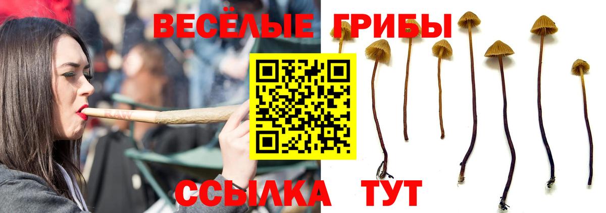 Псилоцибиновые грибы мухоморы  Галлюциногенные грибы Psilocybine cubensis  Семилуки  Вход с VPN 